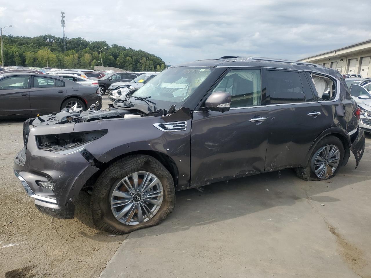 Infiniti QX80 2024 Base