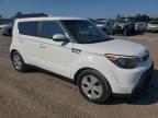 KIA SOUL photo