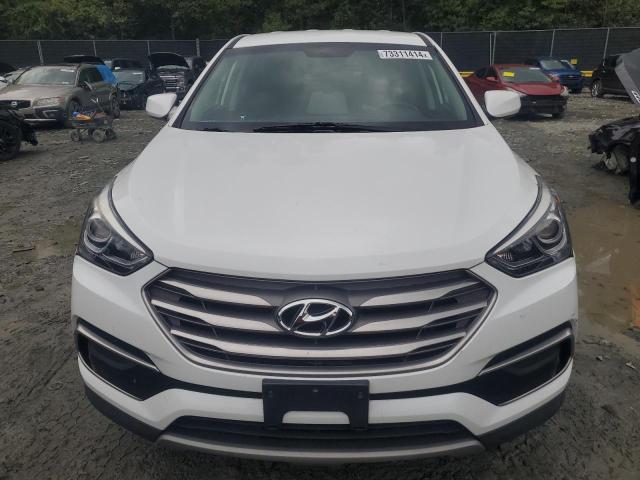 2017 HYUNDAI SANTA FE S - 5NMZT3LBXHH034939