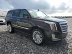 CADILLAC ESCALADE P снимка