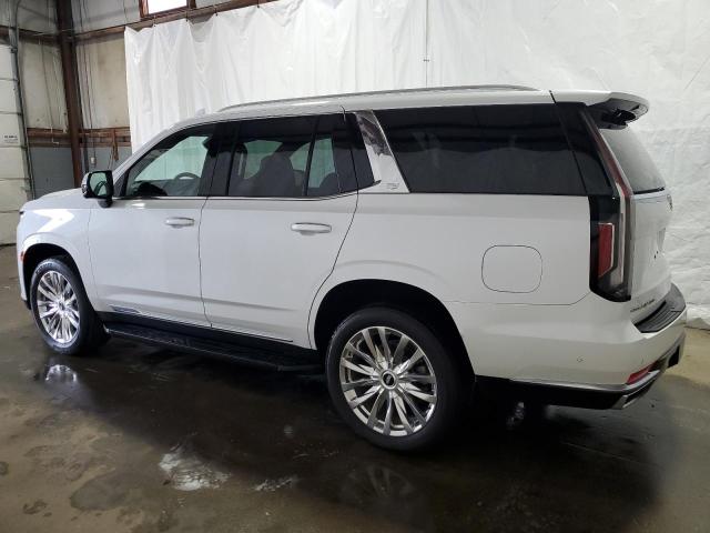 2023 CADILLAC ESCALADE P 1GYS4BKL2PR234155  72286384