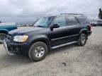 TOYOTA SEQUOIA SR photo