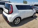 KIA SOUL + photo