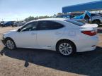 LEXUS ES 300H photo