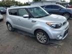 KIA SOUL + photo