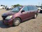 HONDA ODYSSEY EX photo