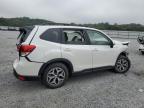 SUBARU FORESTER P photo