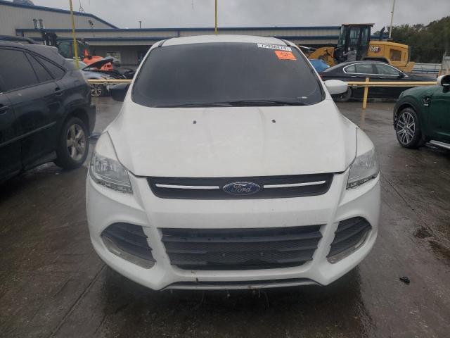 VIN 1FMCU0GX4EUD38548 2014 Ford Escape, SE no.5