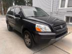 HONDA PILOT EXL photo