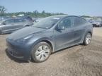 2023 TESLA MODEL Y - 7SAYGDEE0PA202486