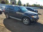 FORD ESCAPE XLT photo