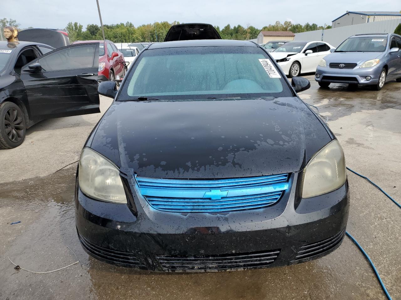 Lot #2905288511 2009 CHEVROLET COBALT LT