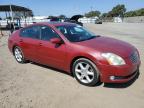 NISSAN MAXIMA SE photo