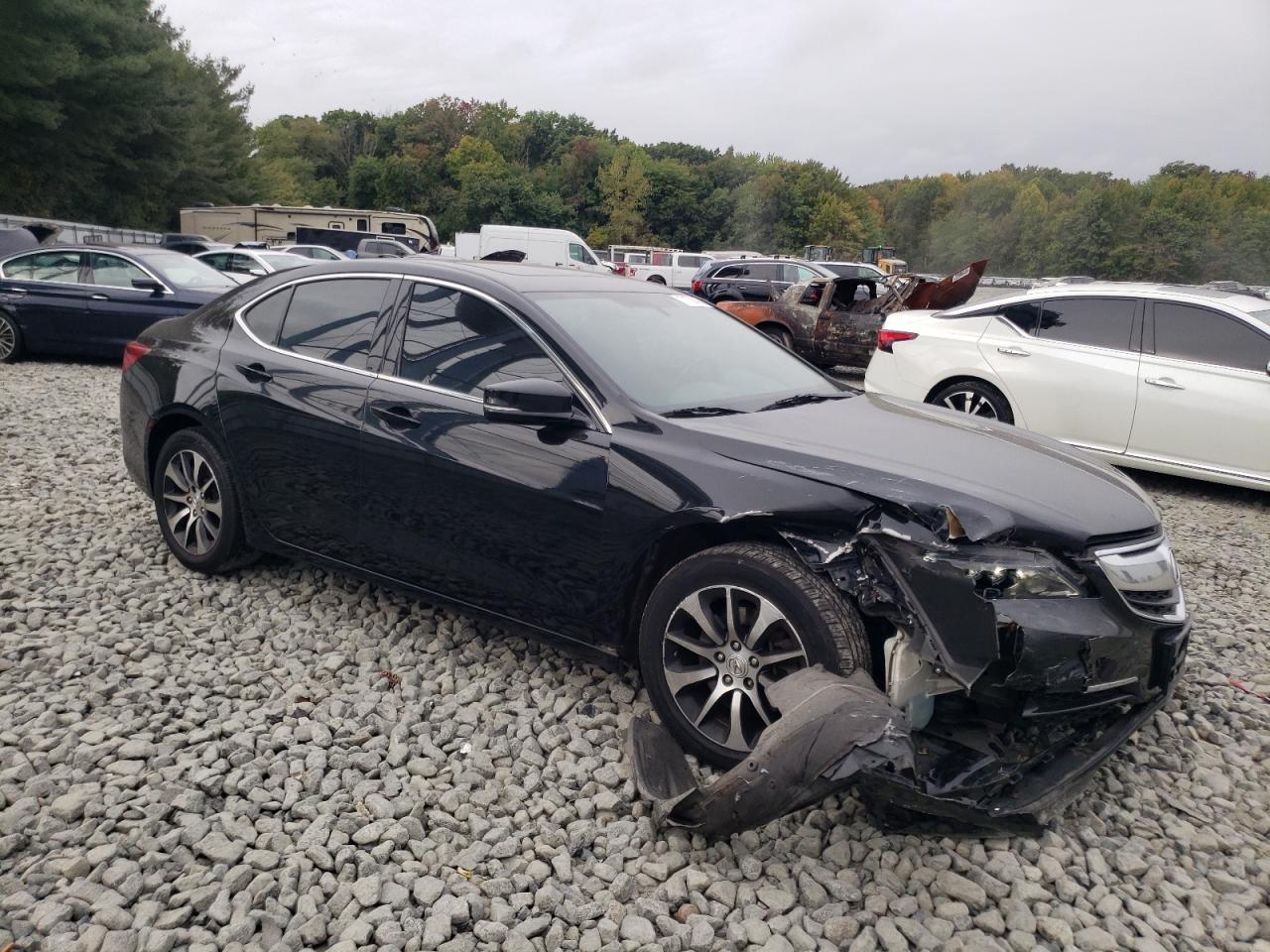 Lot #2923952838 2015 ACURA TLX