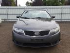 KIA FORTE EX photo