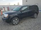 HONDA PILOT EXL photo