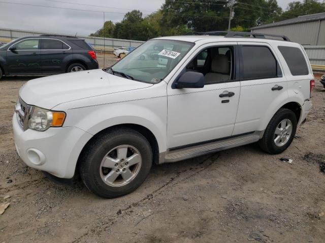 2010 FORD ESCAPE XLT 2010