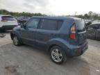 KIA SOUL + photo