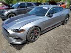 FORD MUSTANG MA photo