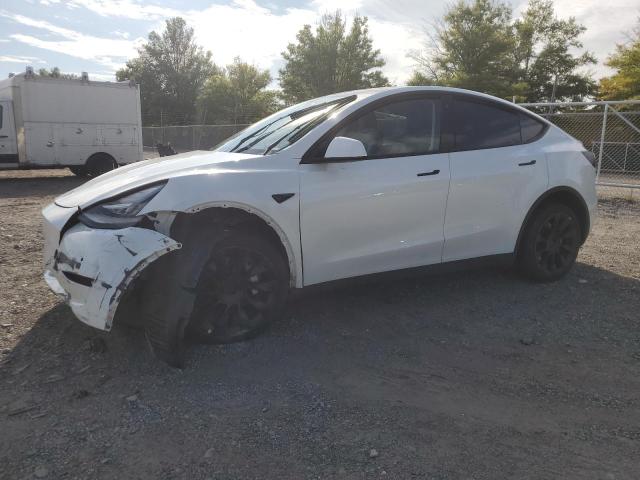 2022 TESLA MODEL Y #2972460680