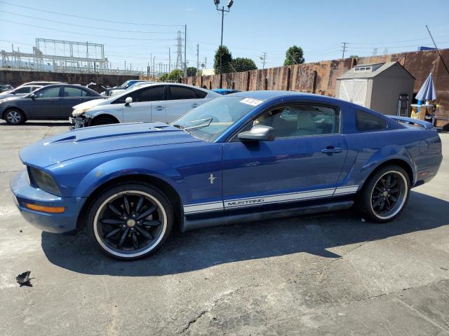 FORD MUSTANG 2007 blue  gas 1ZVFT80N975320830 photo #1