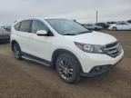 HONDA CR-V EXL photo