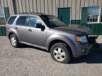 FORD ESCAPE XLT photo