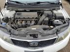 KIA FORTE EX photo