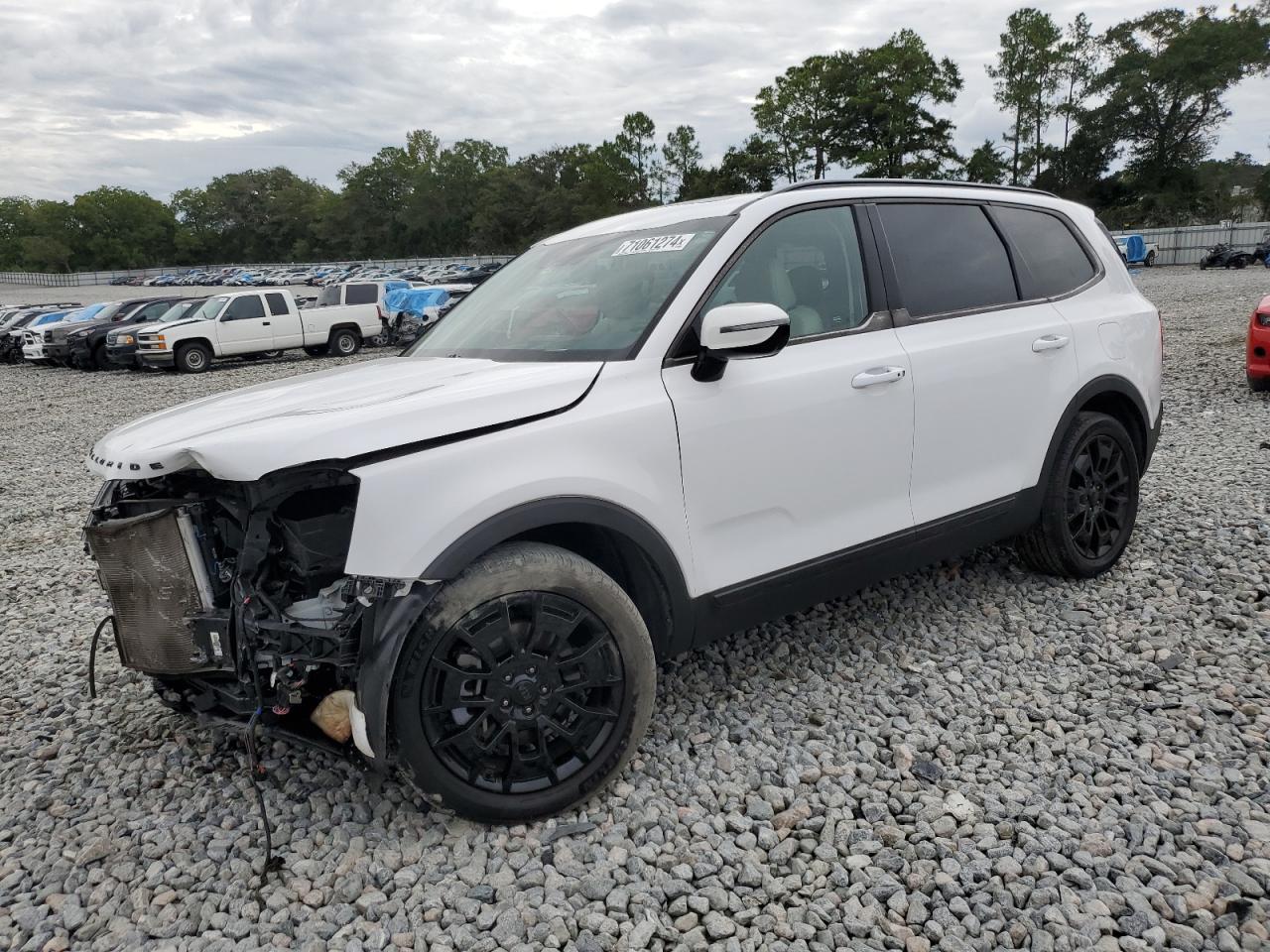 Lot #2921618642 2021 KIA TELLURIDE