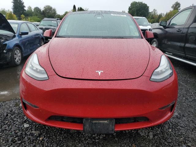 2020 TESLA MODEL Y - 5YJYGDEE2LF059440