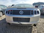 FORD MUSTANG photo