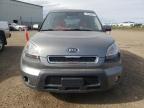 KIA SOUL + photo