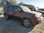 HONDA PILOT EXL photo