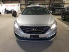 HYUNDAI SONATA SPO photo