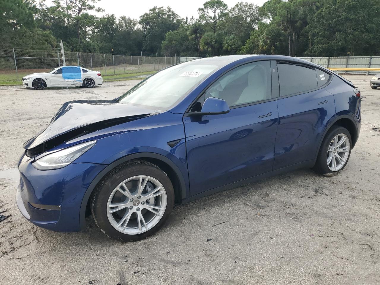 Lot #2989212631 2023 TESLA MODEL Y