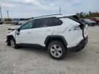 TOYOTA RAV4 XLE photo