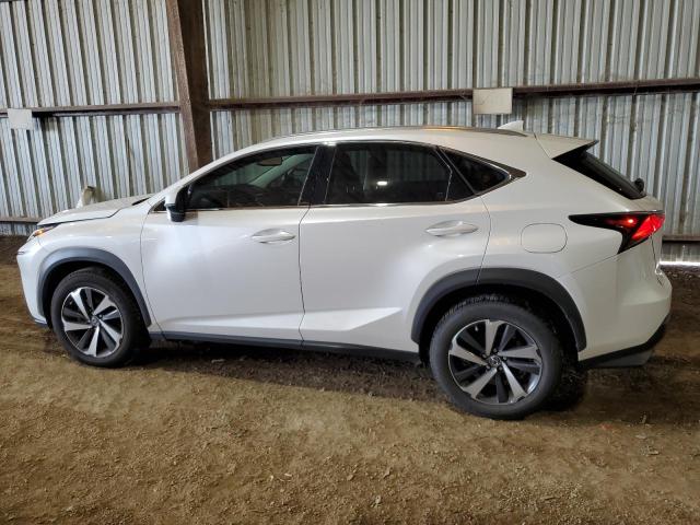 LEXUS NX 300 BAS 2021 white  gas JTJGARBZ1M5023174 photo #3