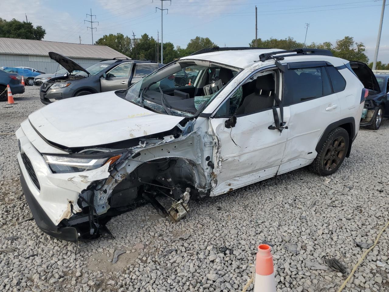 Lot #2988744651 2023 TOYOTA RAV4 WOODL