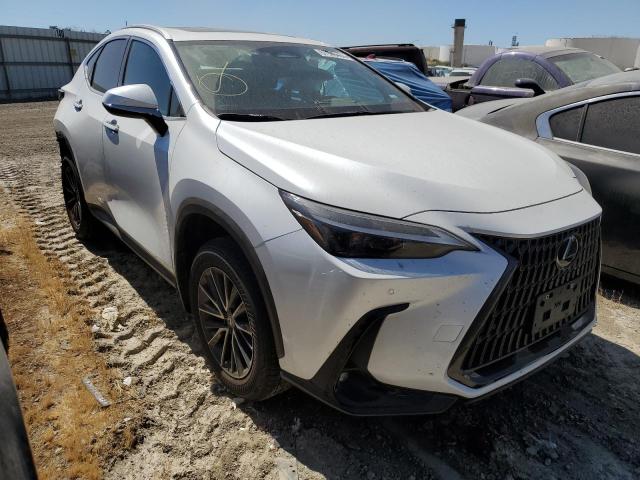 2022 LEXUS NX 350 2T2GGCEZ4NC008372