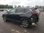 Lot #3023397239 2020 HONDA CR-V EX