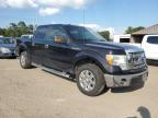 FORD F150 SUPER photo