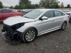 2016 HYUNDAI SONATA SPO - 5NPE34AF9GH317201