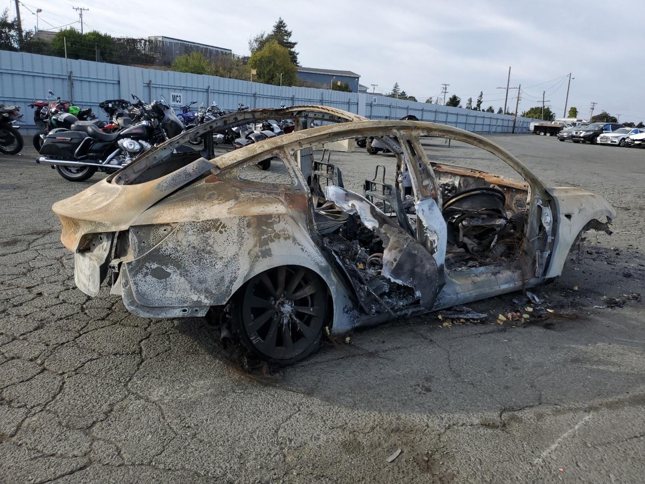 Lot #2974686022 2021 TESLA MODEL 3