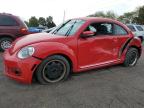 VOLKSWAGEN BEETLE photo