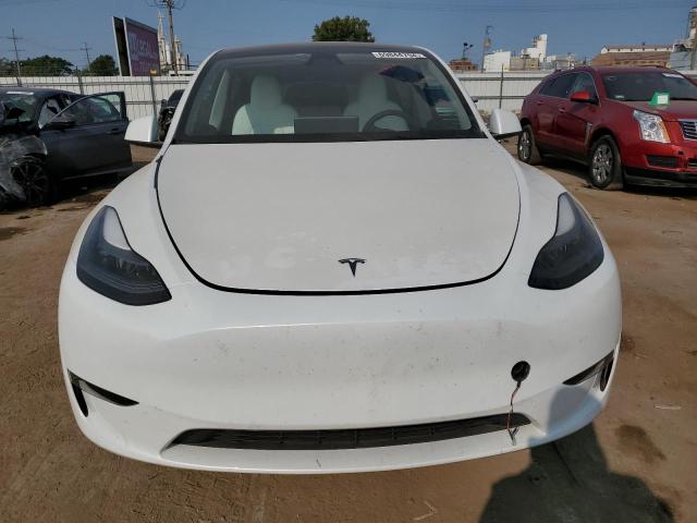 2023 TESLA MODEL Y - 7SAYGDEE7PF871647