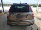 HONDA CR-V EXL photo