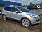 FORD ESCAPE SE снимка