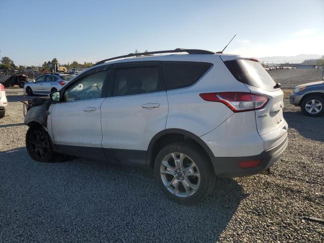 VIN 1FMCU9GX9DUB84227 2013 Ford Escape, SE no.2