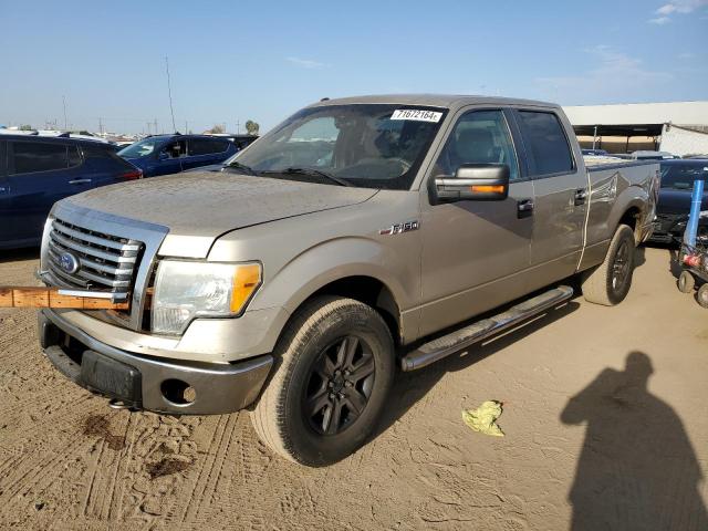 2010 FORD F150 SUPERCREW 2010