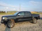 2019 TOYOTA TACOMA DOU - 3TMGZ5AN4KM220799